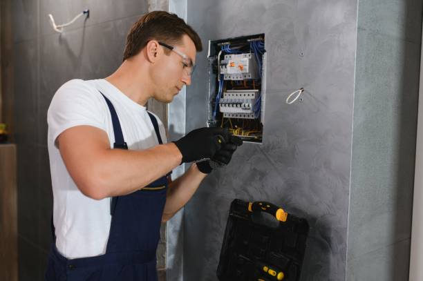 Best Ceiling Fan Installation Electrician  in Nokomis, IL